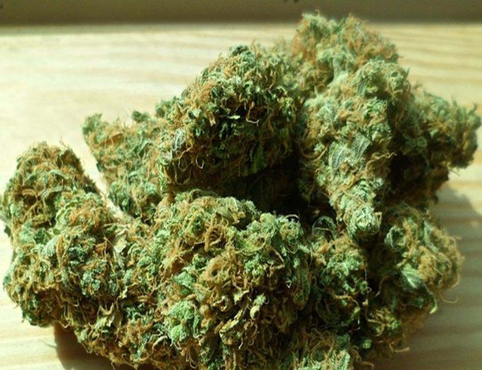 cannabis1