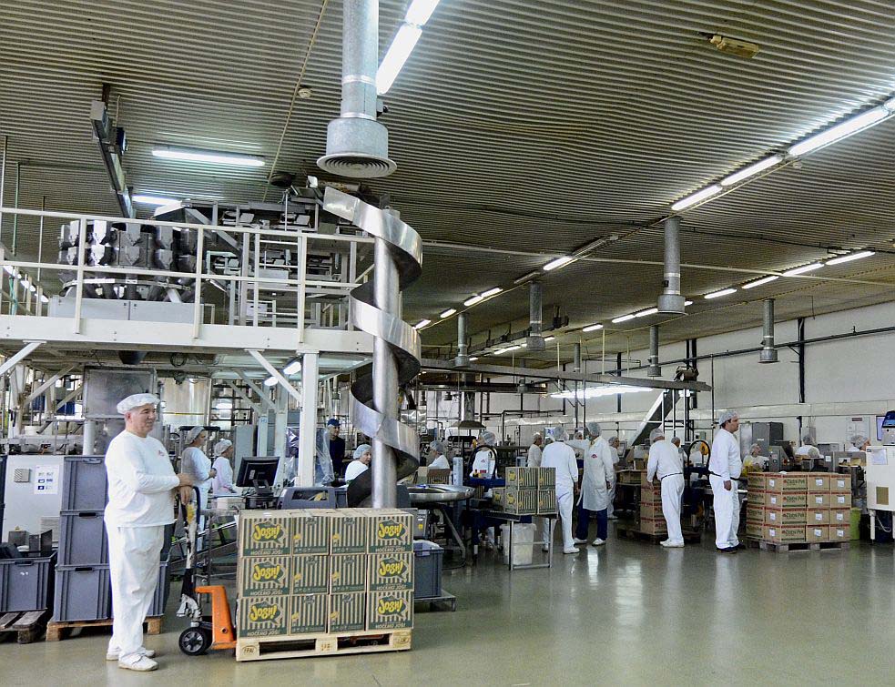 Fabrika%20Bambi%20983%20Nebojsa%20Mandic