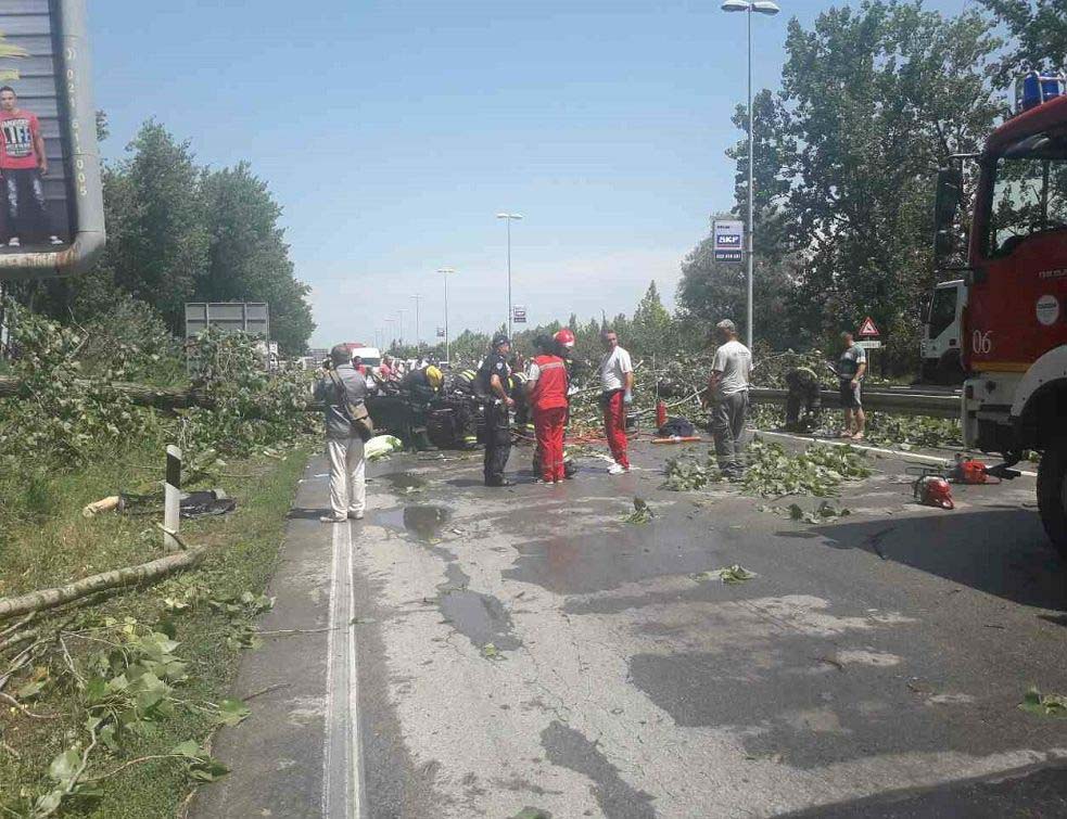 Oluja, nevreme, Novi Sad, FB